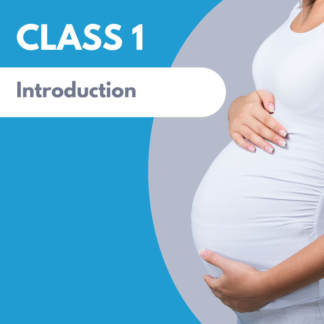 Class 1: Introduction