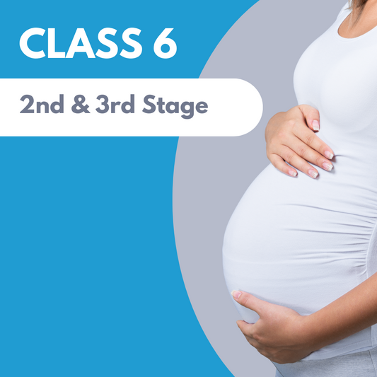 Class 6:  Second & Third Stage Labour